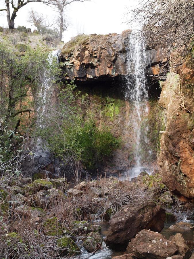 Bear Creek Falls Lodge On 67 Acres Creek & Waterfalls Millville Exterior foto